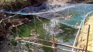 The dilapidated condition of Moddlem spring