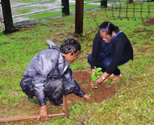 GNE_members_concentrating_on_planting_the_sapling