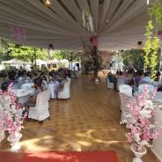 Christmas Party organised for Senior Citizens
