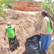 Village cleaned for monsoons