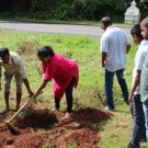 Ganv Bhavancho Ekvott carried out a tree plantation drive