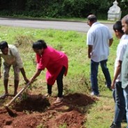 Ganv Bhavancho Ekvott carried out a tree plantation drive