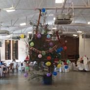 Christmas Party for Senior Citizens in 2022