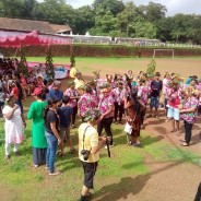 San Joao programme at Chandor