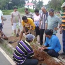 BEAUTIFYING TRAFFIC ISLANDS